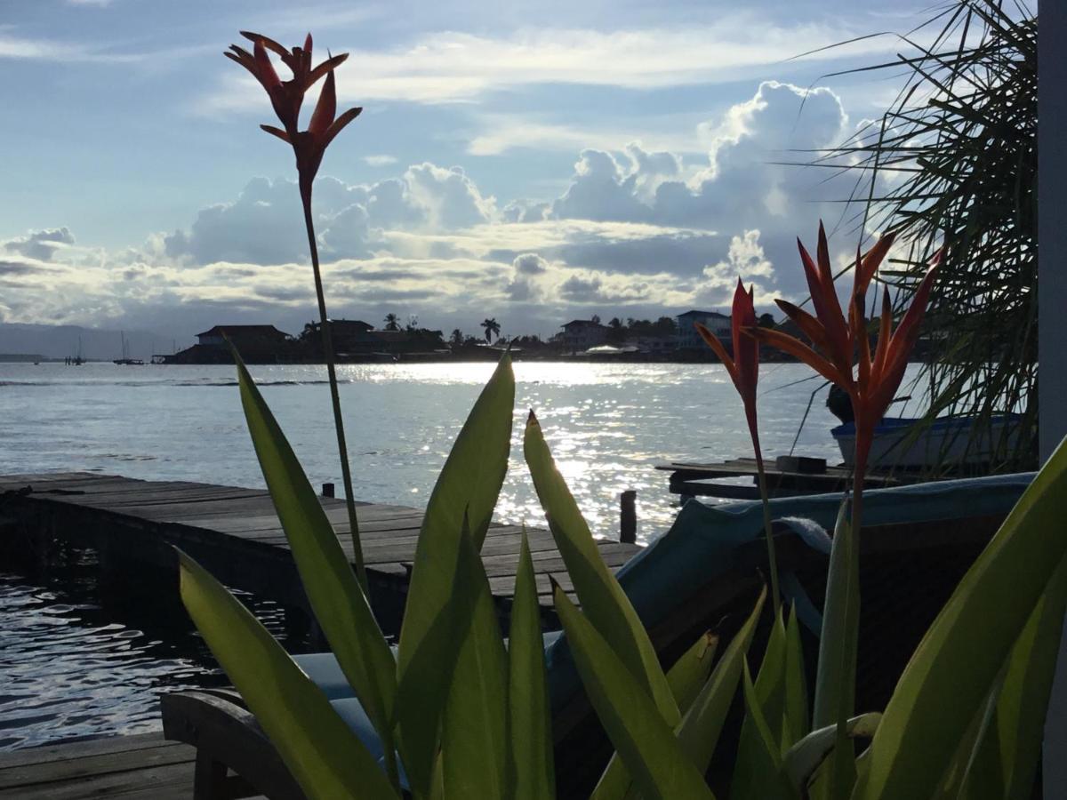 Riva B&B Bocas del Toro Esterno foto