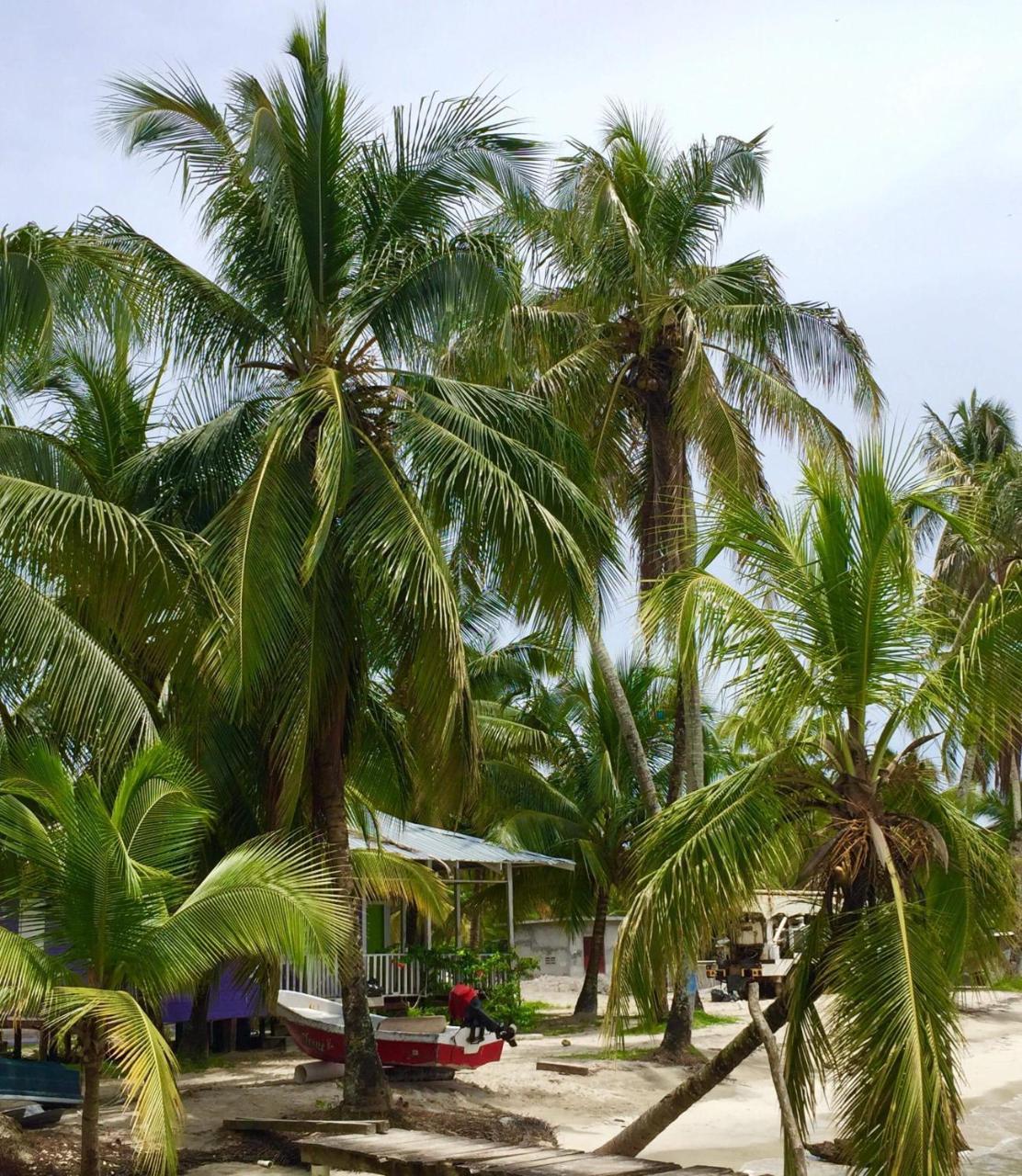 Riva B&B Bocas del Toro Esterno foto